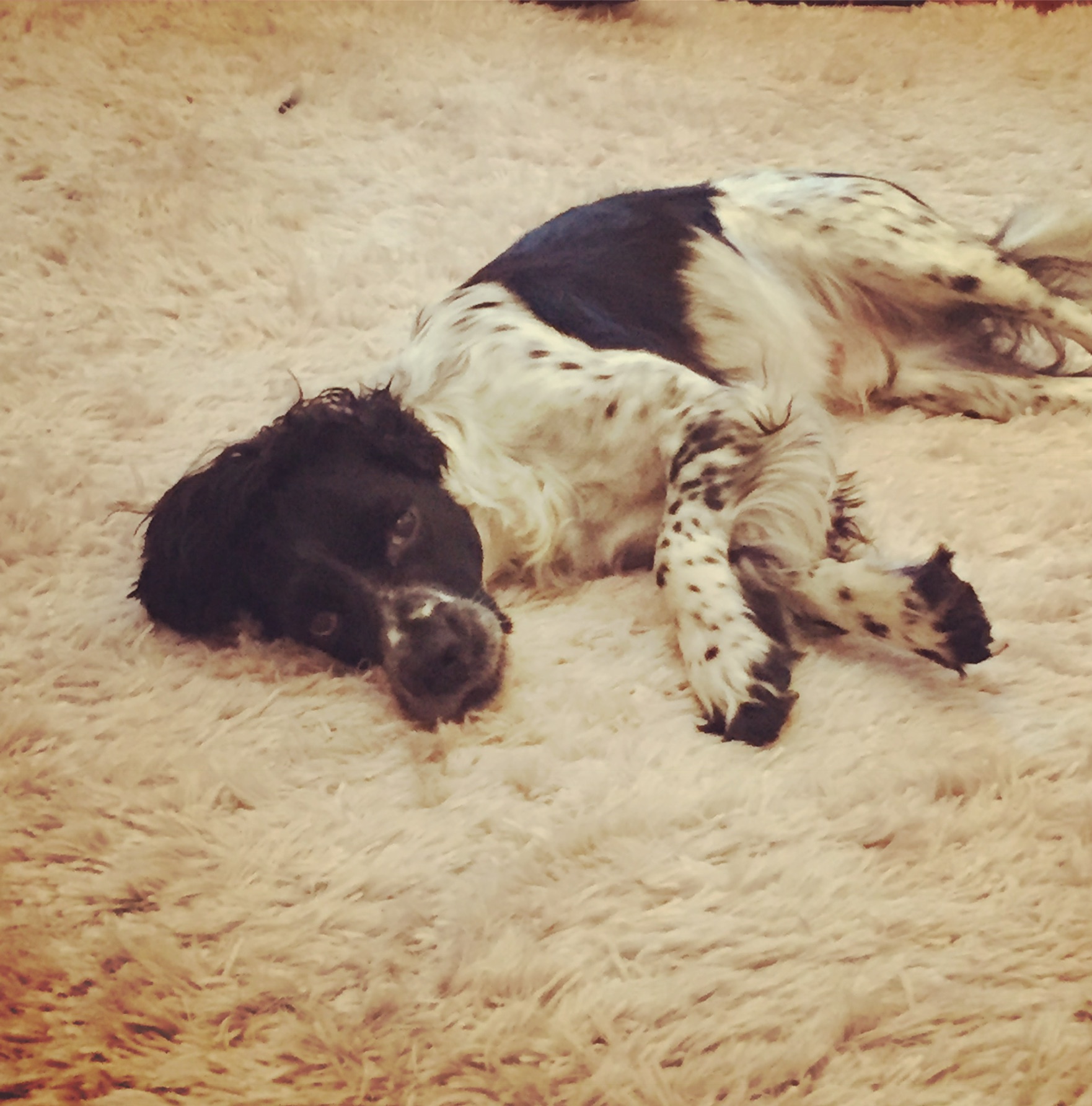 E775D9AC-8BE5-4069-A62D-41675CC5CFEA