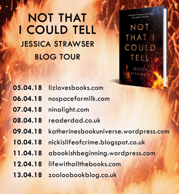 blog tour poster