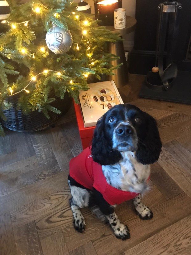 a80b2148-6f40-490b-815d-0bec46fafa33